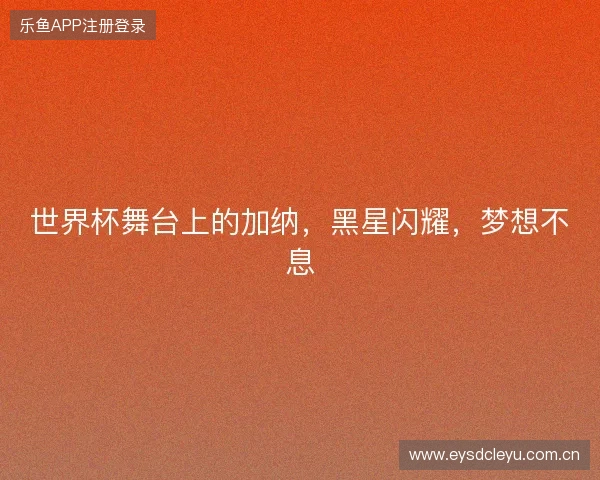 世界杯舞台上的加纳，黑星闪耀，梦想不息