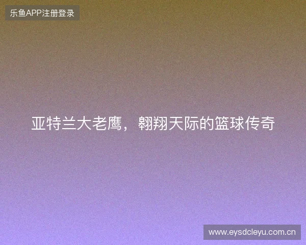 亚特兰大老鹰，翱翔天际的篮球传奇